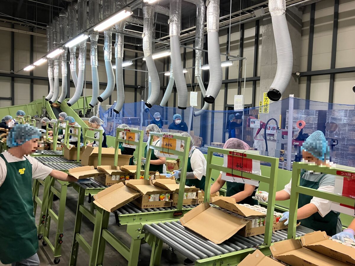 ギフト商品のセット作業